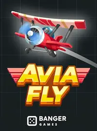 Avia Fly crash at HEY22